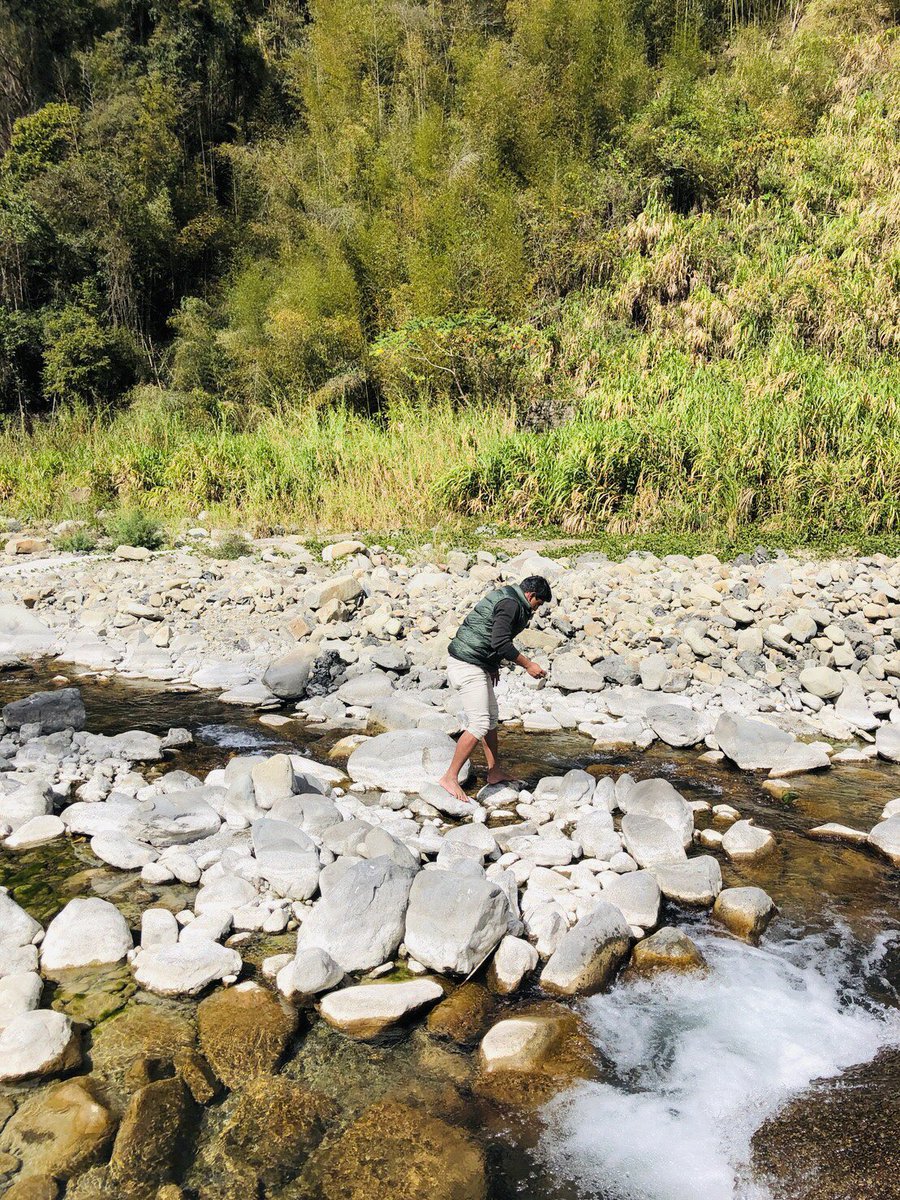 edna_pritam's tweet photo. #eDNA and #DNAbarcoding will be used together to say hello to some of our less known friends π. Although, not related to my thesis but canβt stop myself from doing this. #collaboration welcome π
#phdlife #eDNAsampling #biodiversity #Taiwan https://t.co/7c7gtHjRP2