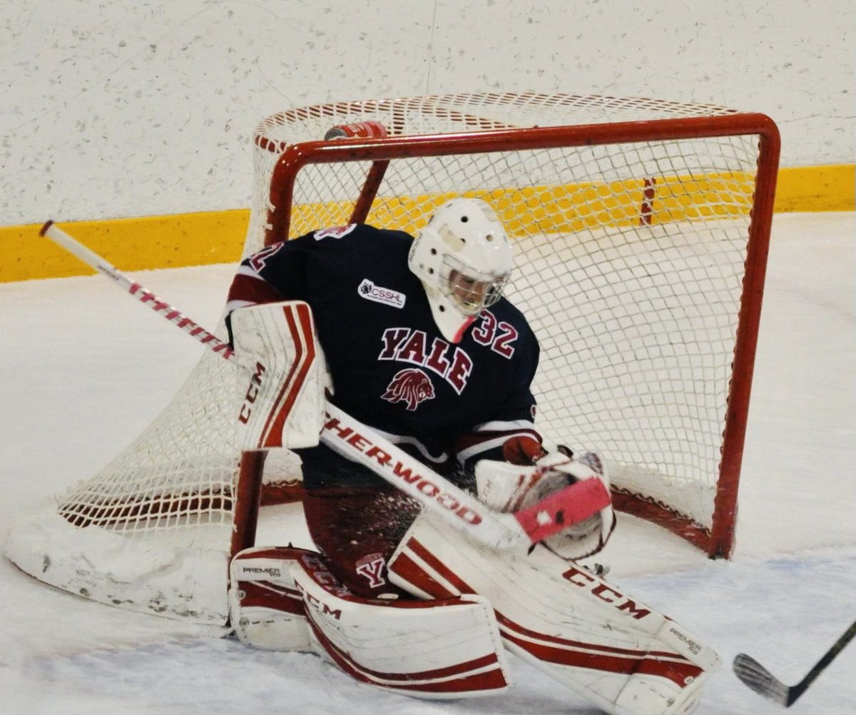 YHA_Lions tweet media