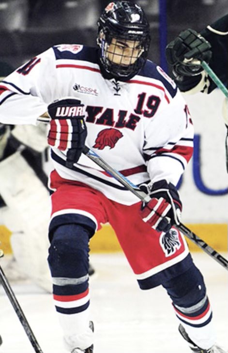 YHA_Lions tweet media