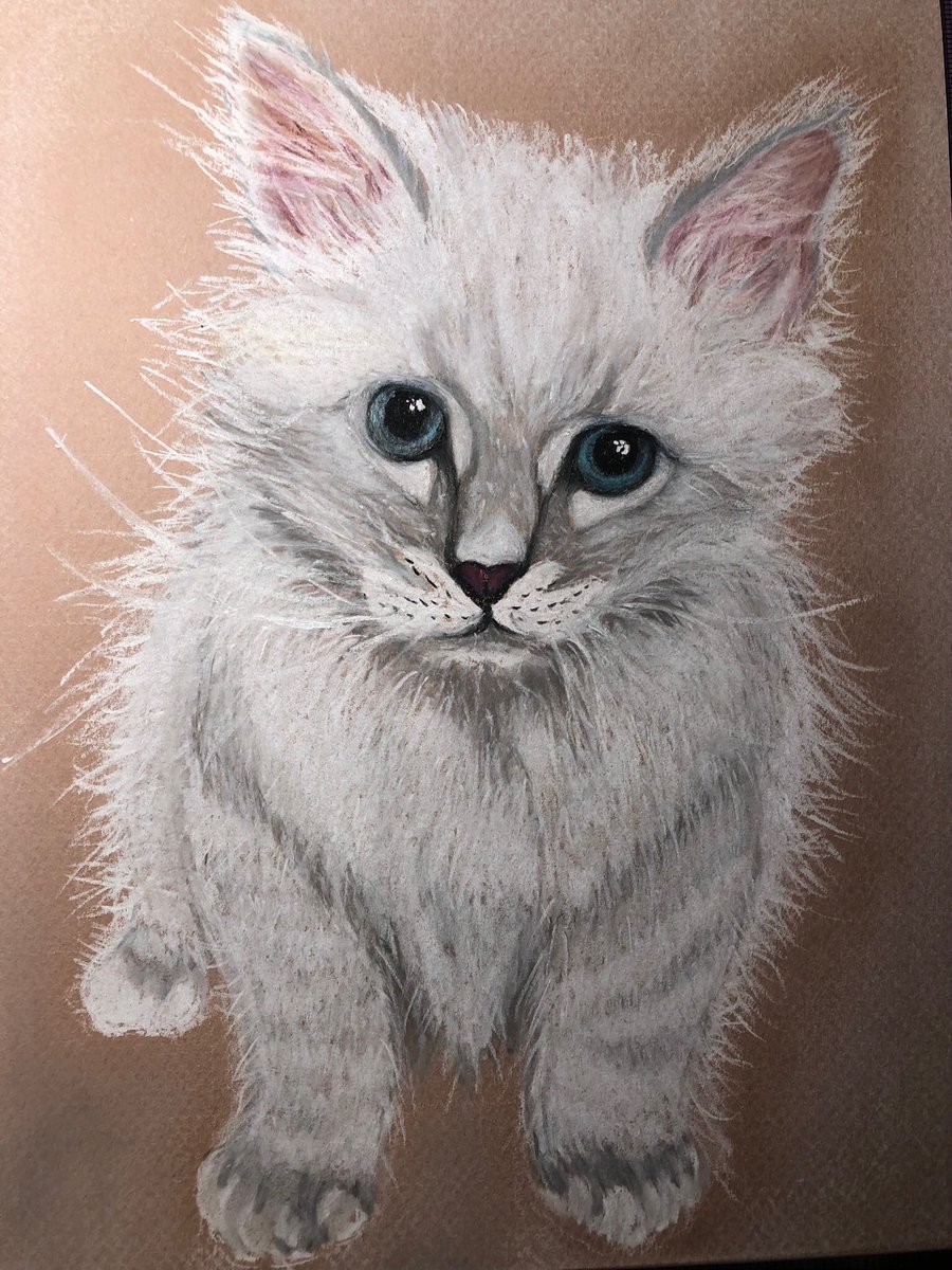 lizon12's tweet photo. J’apprends à utiliser le pastel.  Pas simple https://t.co/ZCIDmeT1qA