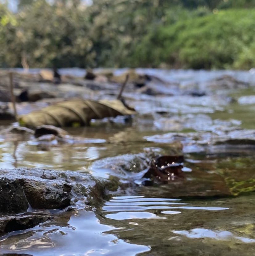 Haji : Antara Ibadah, Investasi Dan Korupsi 😂😂😂

#HAJI2023
#kemenagRI 

*gambar Hanyalah pemanis*