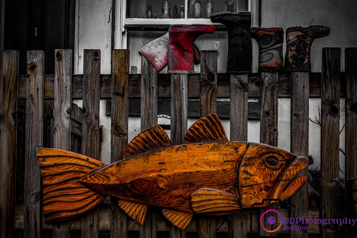 Staithes Fish #woodcarving #Fish #staithes #northyourkshire #realyorkshiretours #clevelandway #clevelandwaynationaltrail #yorkshire #northyorkmoorsnationalpark #northyorkmoors #walkinguk #bbcyorkshire #igersyorkshire #your_yorkshire #discovering_yorkshire #discoveryorkshirecoast