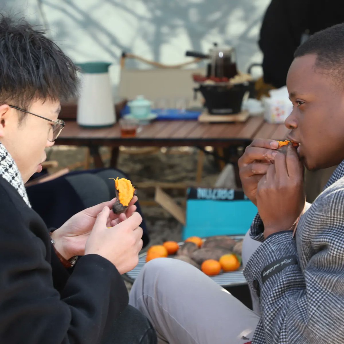 William ZHOU tweet media