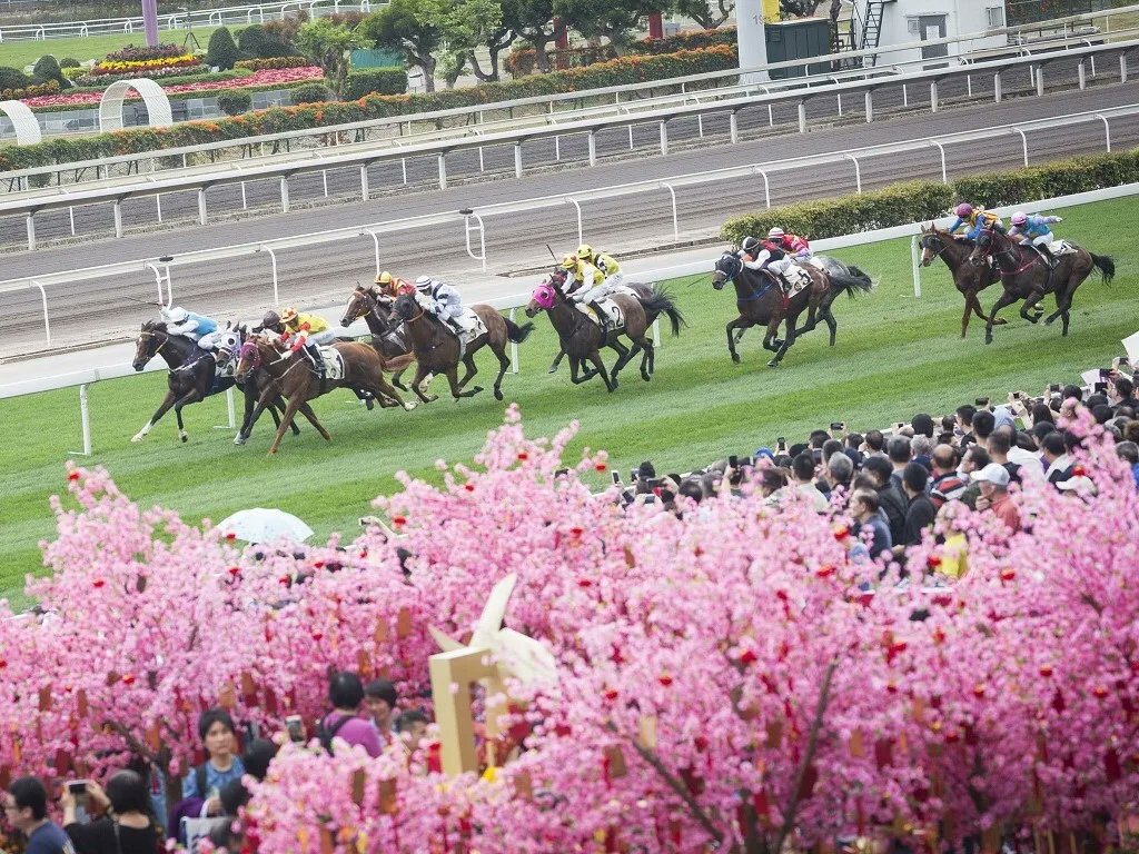 Let your good luck roll in for a splendid year of fortune! #HKJC #CNYRaceDay 
#ShatinRacecourse #TouristZone