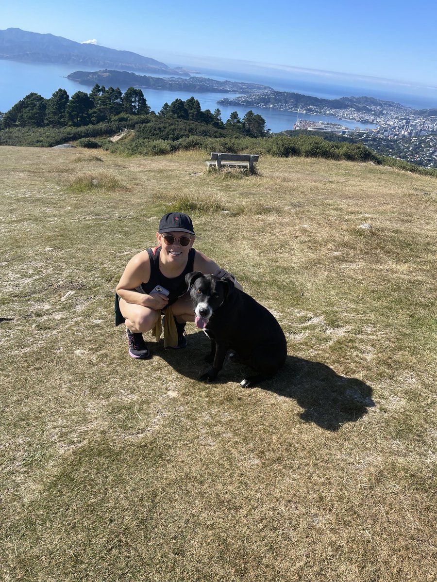 Jack Steer tweet media