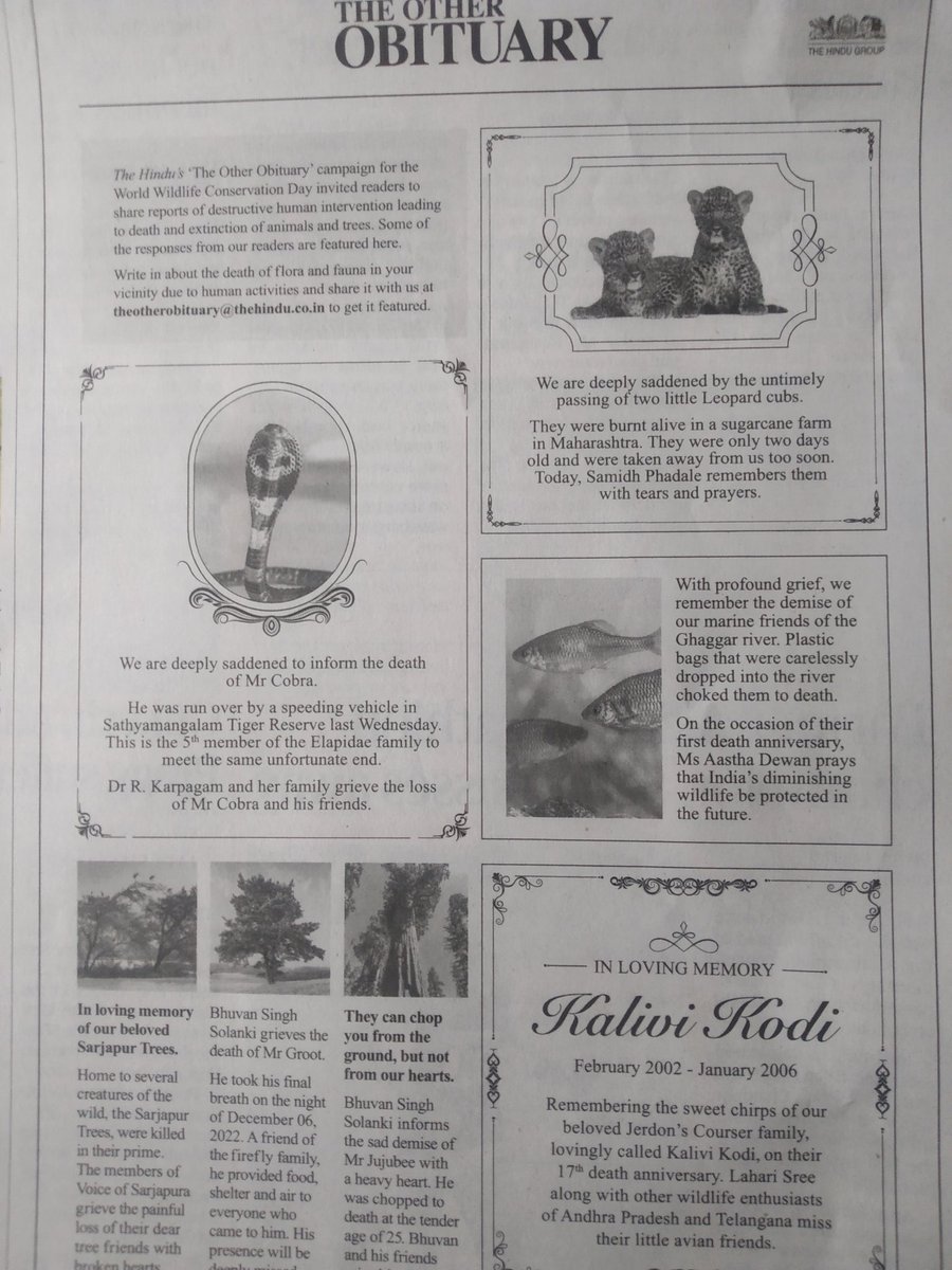 A section in @TheHindu grieving loss of flora and fauna due to human intervention