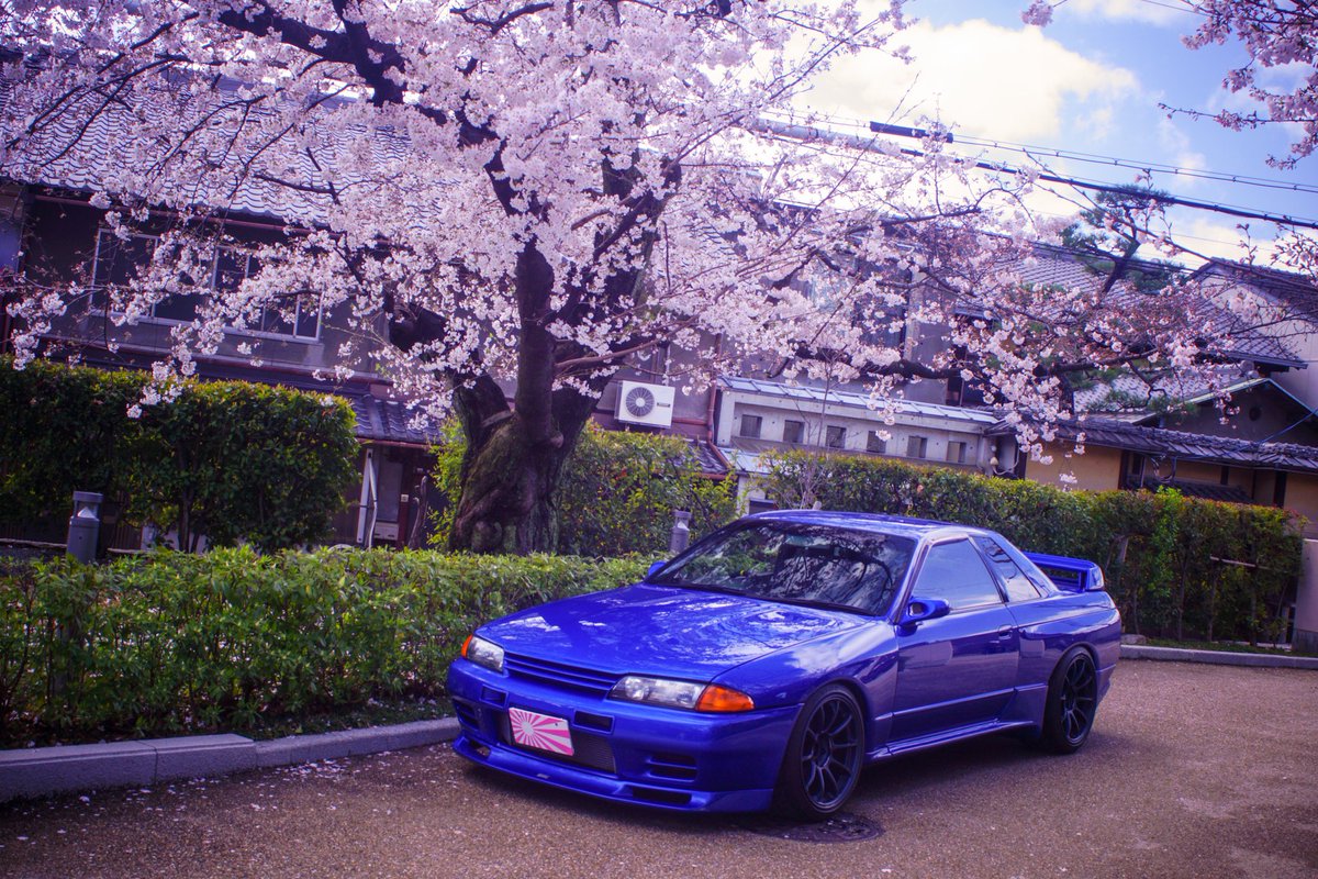 yoshiclo_'s tweet photo. 別に伸びたからって何があるわけじゃないけどどうせ伸びるならこっちが伸びて欲しい🥺 https://t.co/PEsNfCuL8z