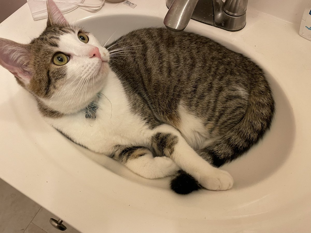 What’s the physiological relevance?