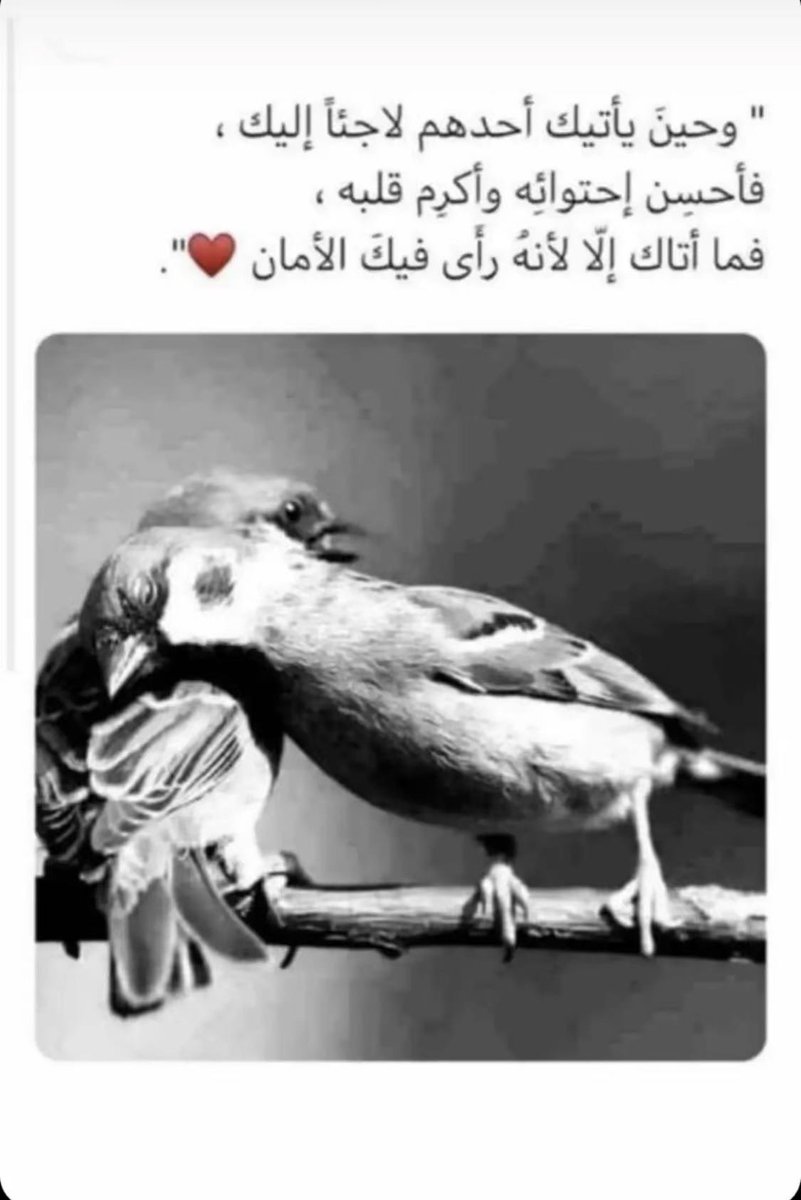 Missroujy's tweet photo. ⚡️ https://t.co/cbv9ApSxoq