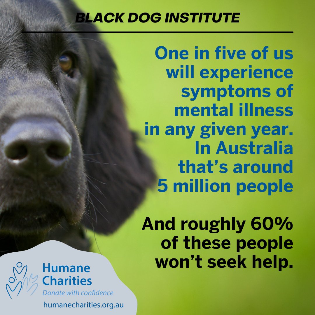 HumaneCharities's tweet image. Since @blackdoginst was founded in 1985 at Prince Henry Hospital, Sydney, they have been at the forefront of mental health research. #donatewithconfidence