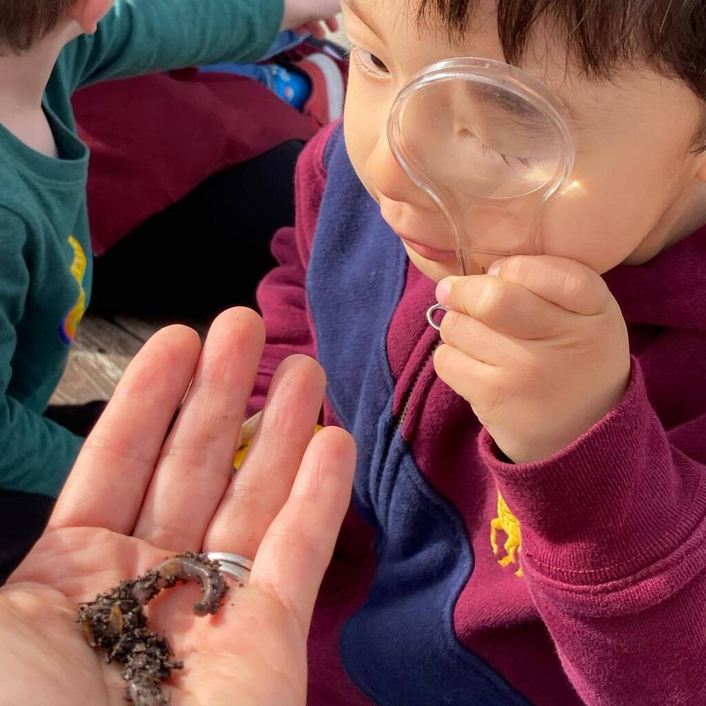 PV School Gardens tweet media