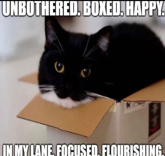 lol‎ ‎ tweet media