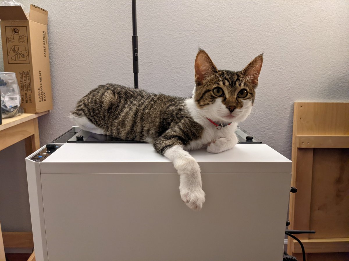 Sean Dohring tweet media