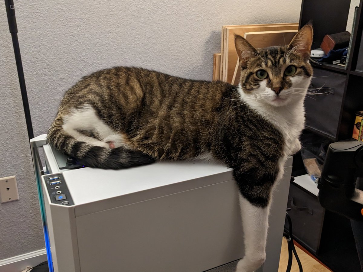 Sean Dohring tweet media