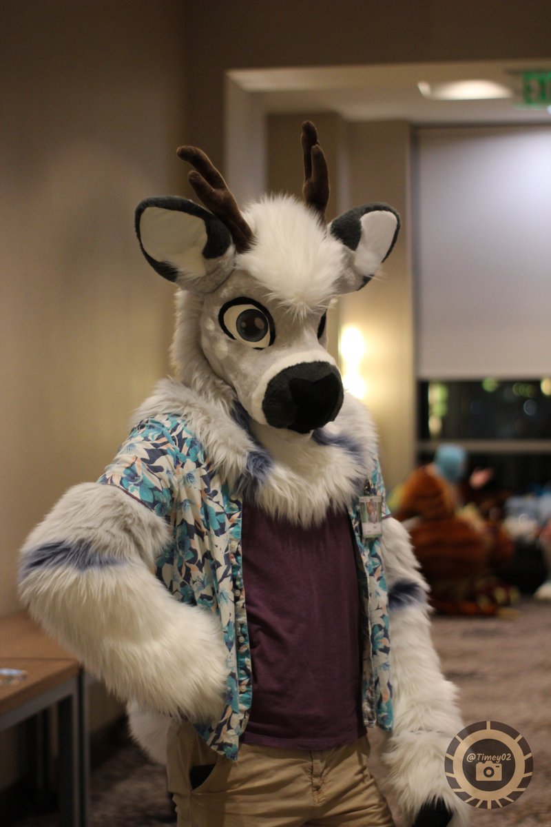 Timey021's tweet image. Got a chance to photograph @degenerate4meme at #ANE2023 

If anyone else wants their photo taken hit me up on Instagram or Telegram at 
@Timey02