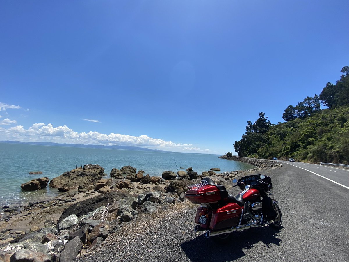 diego_mz3's tweet image. From my New Zealand trip 🤩