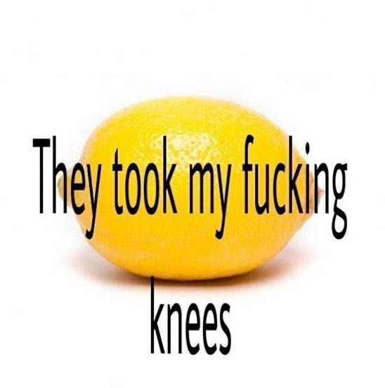 lol‎ ‎ tweet media