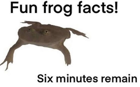 lol‎ ‎ tweet media