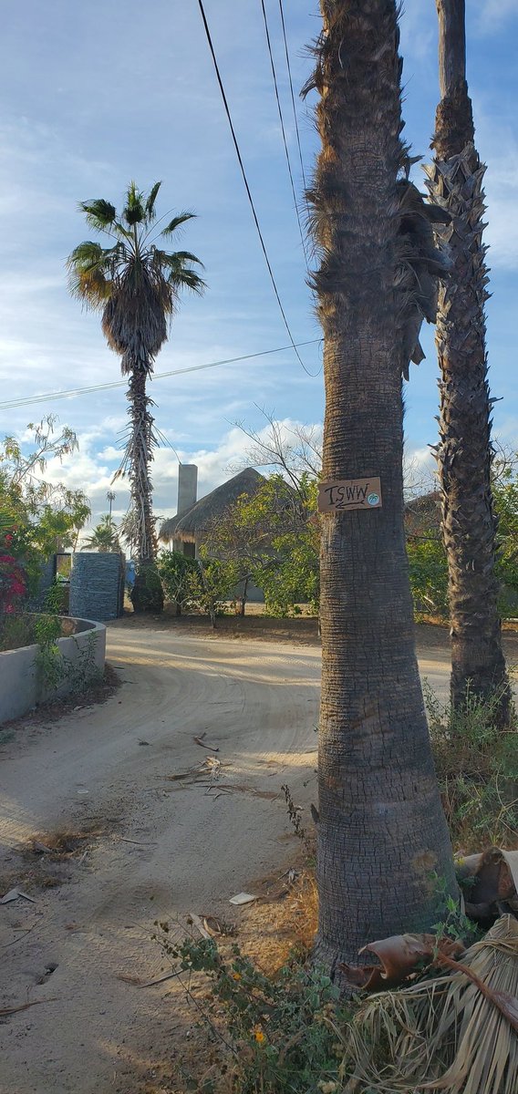 We'll be following the signs to TSWW soon...
#10thanniverary
#LitHappens
#todossantos
#writingretreat