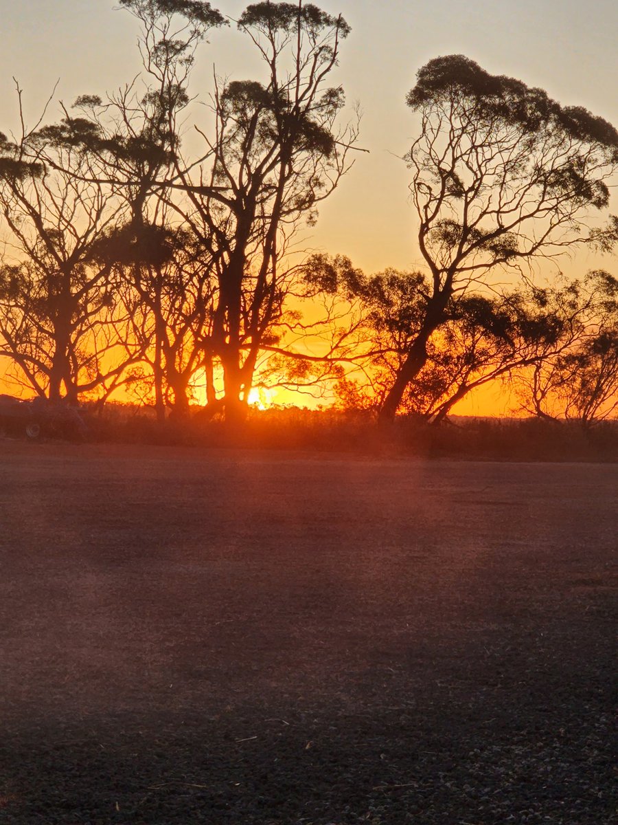 Derek de Stacpoole tweet media