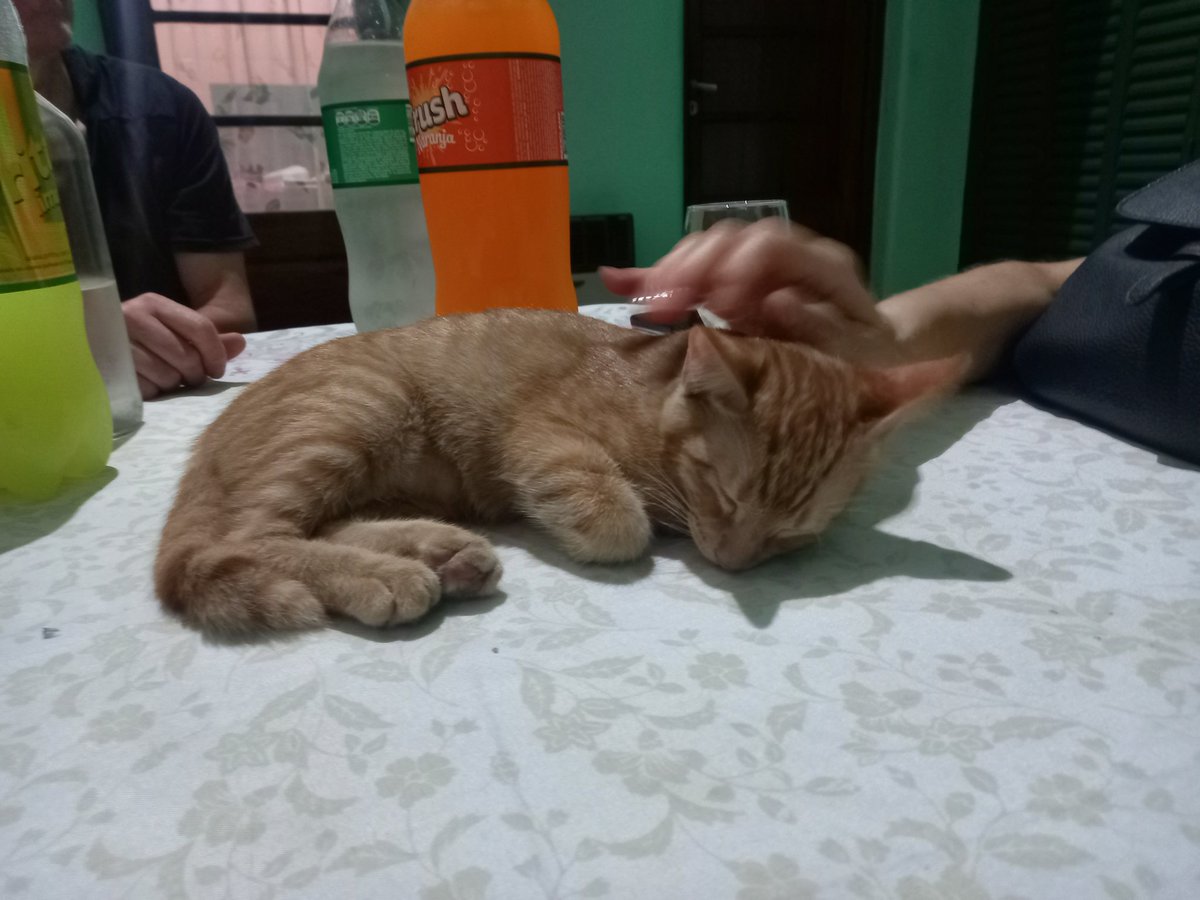 Ayuda hoy conoci a quinoto🥺🥺🥺