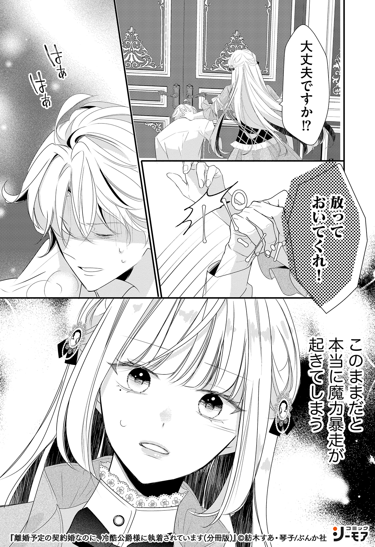 離婚予定の契約婚なのに、冷酷公爵様に執着されています 3 離婚予定の契約婚なのに、冷酷公爵様に執着されています