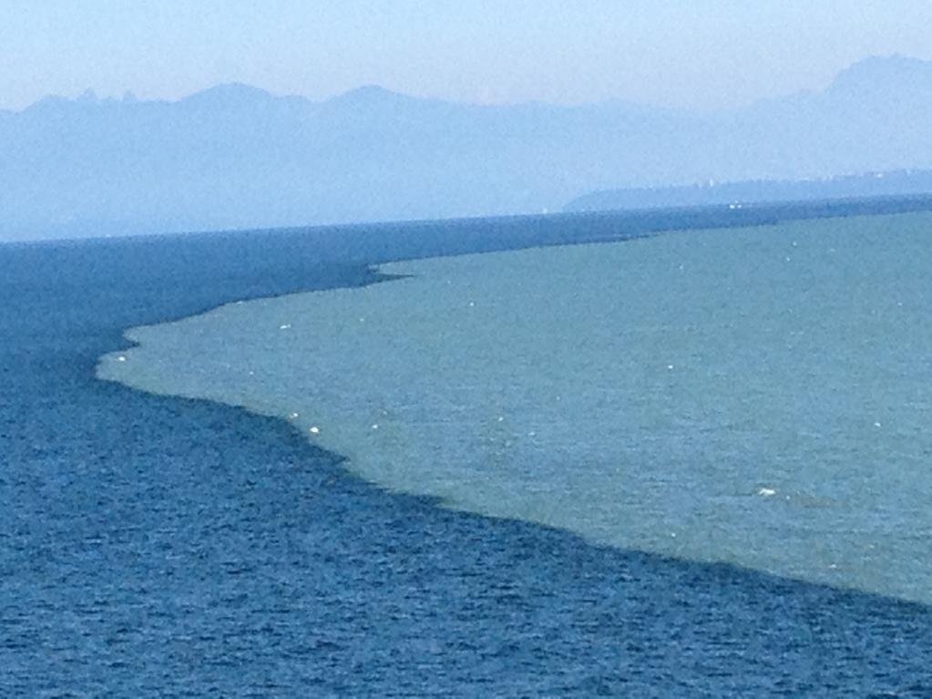 FisheriesScien1's tweet photo. #Brackish water is a broad term used to describe water that is more saline than freshwater but less saline than true marine environments.
#salt #sweet #marine #drinkable #undrinkable #sea #management #water #USA #Croatia #Denmark #Japan #Pacifica #Saline https://t.co/Q3uesmcIgS
