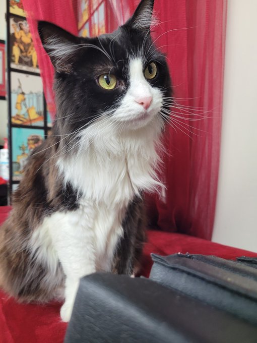 she wants to know if you have any games on your phone https://t.co/QzzxXN9L80