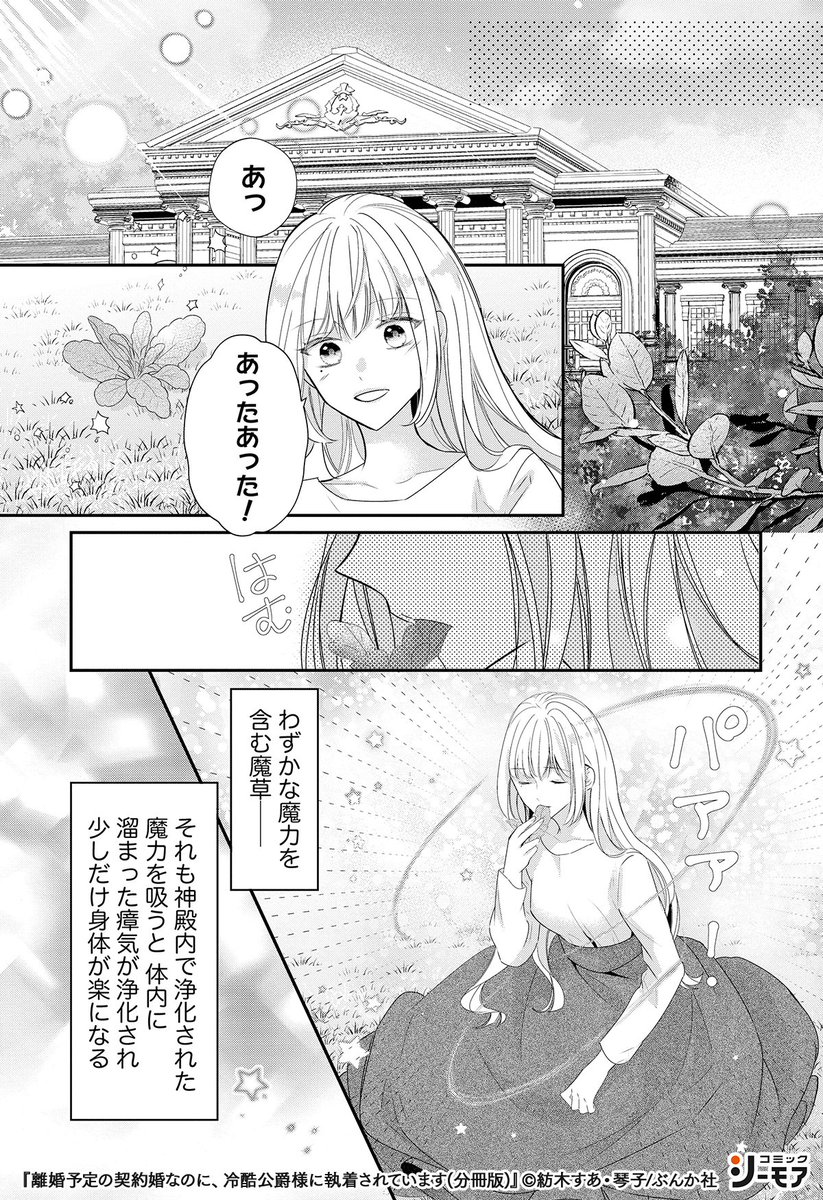 離婚予定の契約婚なのに、冷酷公爵様に執着されています』(2/4