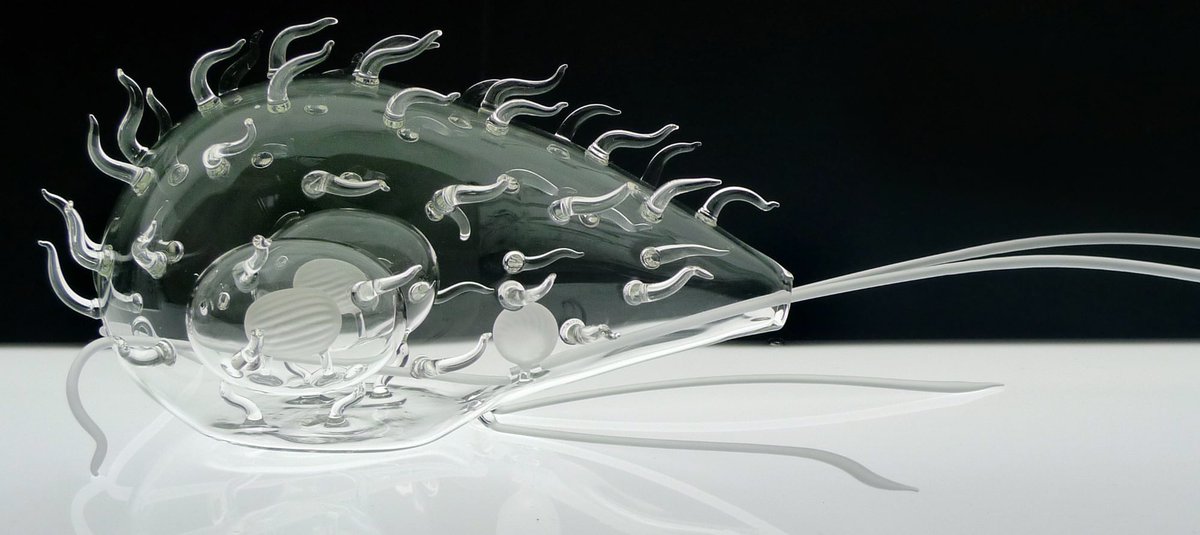glmrvn's tweet photo. Wow. ‘Glass Microbiology’ 
https://t.co/y8fkLfbG4B https://t.co/TqGLqDABKC