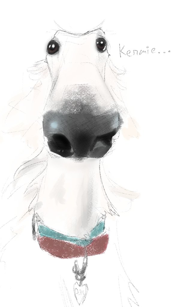 didnt i do it for you?