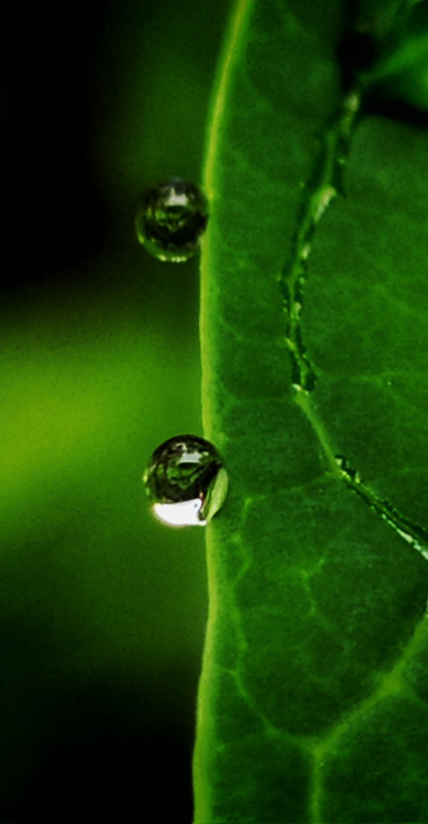 Abhishekt8113's tweet image. #Redminote7s