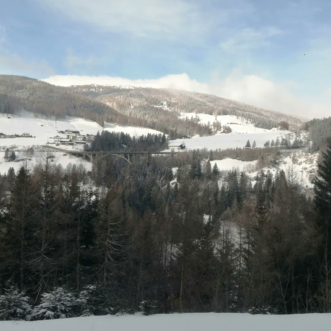 In  #Igls, #Austria, #EPITA Symposium, meeting fantastic people who operate in the field of pancreas and islet transplantation. I discussed how we can leverage #Treg cell therapies to promote efficacious, sustained and safe #transplantation tolerance for #type1diabetes.