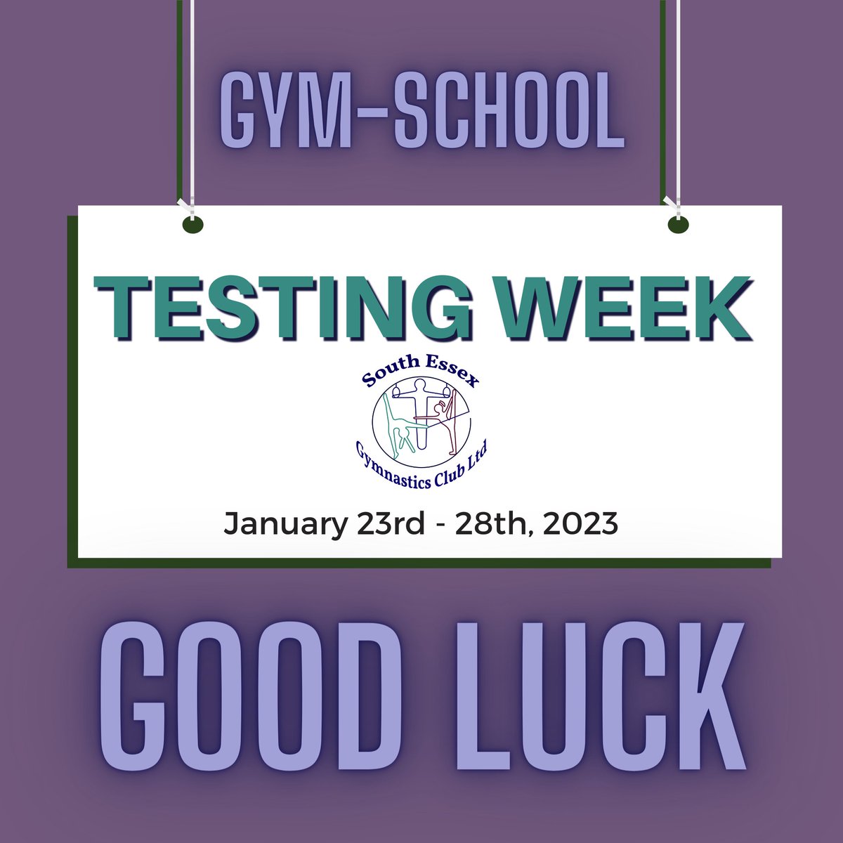 South Essex Gym Club tweet media