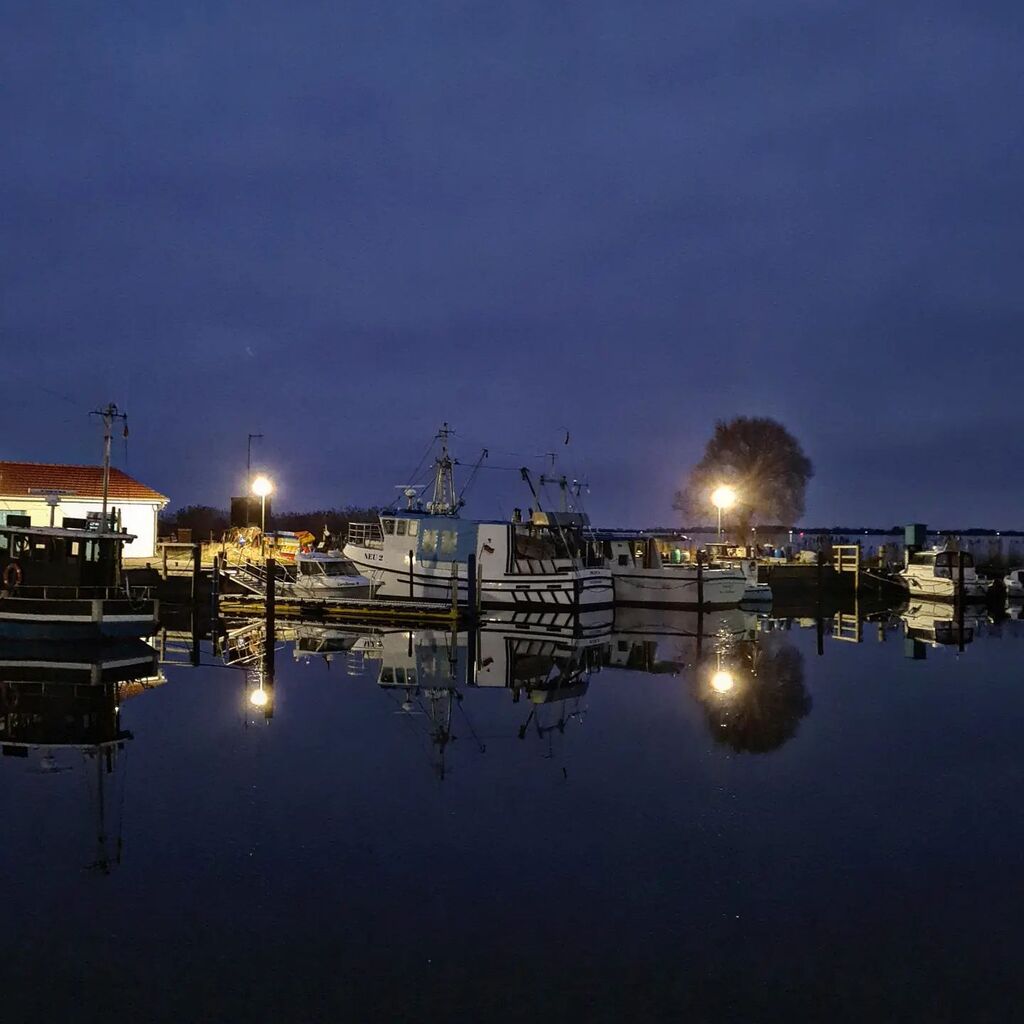 hiddenseeforum's tweet photo. Heute Morgen am Hafen in Neuendorf.
#gutenmorgenwelt #gutenmorgen #hiddensee #inselhiddensee #hiddenseeforum #wirsindinsel #goodmorning #fischereihafen #fischerboot #mvtutgut #morning https://t.co/JcKgK1NfBR