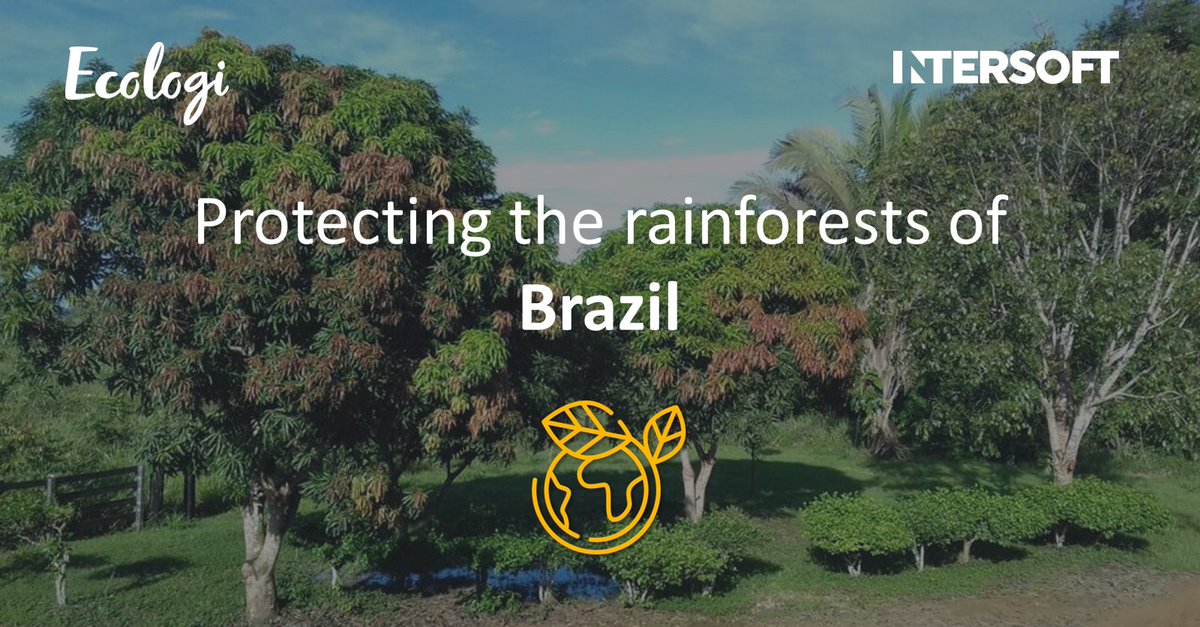 The impact of Intersoft’s #ClimatePositiveWorkforce is being felt across the world 🌍

🌱 Working with Ecologi, we’ve helped protect 70,000 hectares of the rainforest in the Mata Grosso region of Brazil. 

See more here: bit.ly/3ZXiUKW

#Sustainability #CarbonNeutral