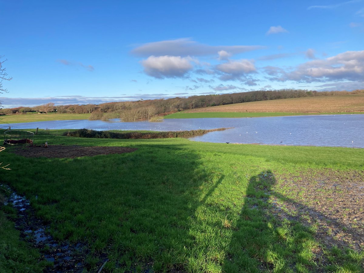 johnoflynnEA's tweet photo. #WestHantsFieldTeam clearing screens &amp; checking levels at #MilfordDam on #DanesStream.This is the highest impoundment level in over a decade.The dam regulates flow through #MilfordonSea reducing local flood risk.#floodaware @newforestdc @CllrCarpenter @hantsconnect @NewForestNPA https://t.co/L8PNqCQD7P