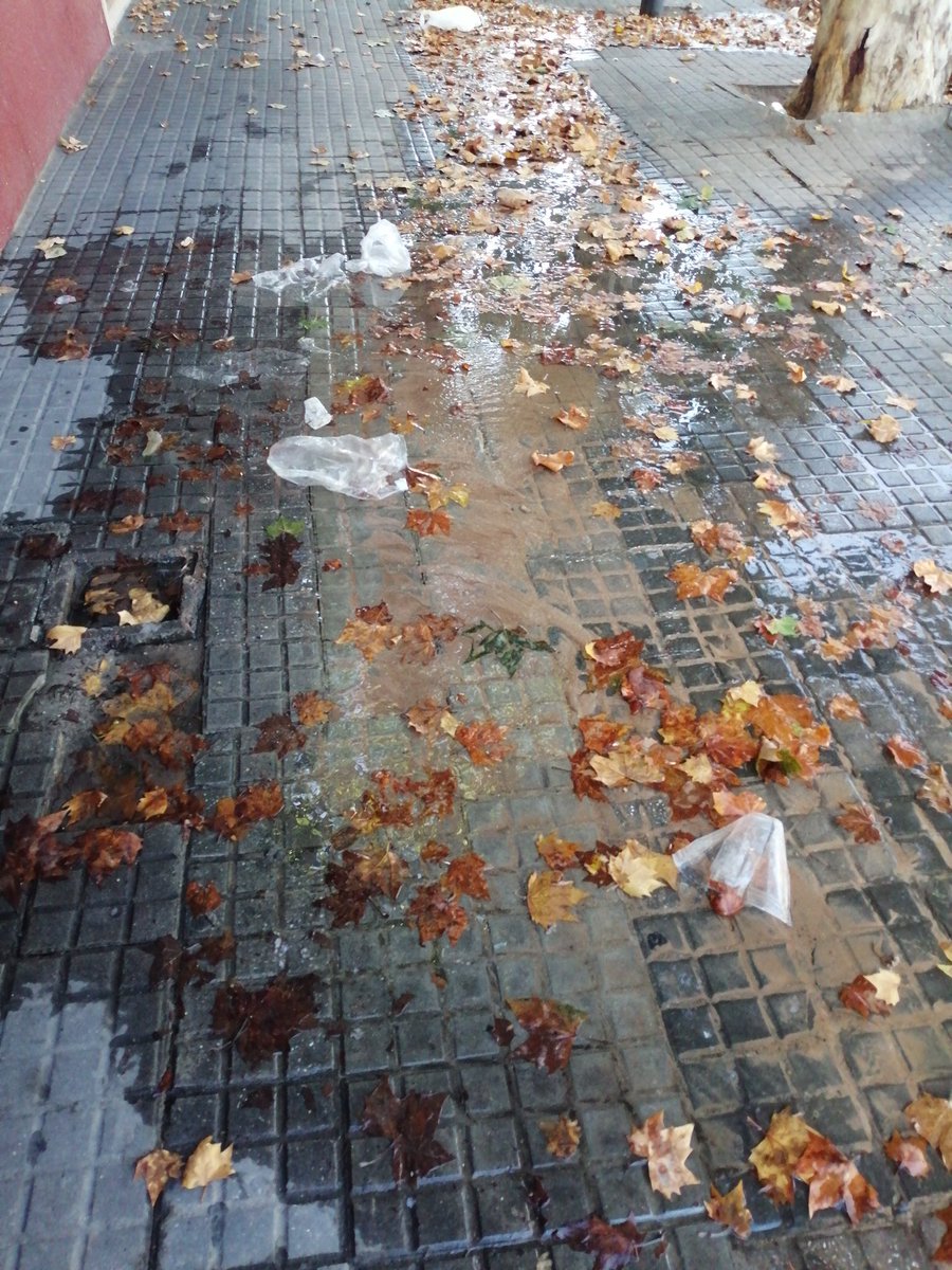 ferromuseo2013's tweet photo. @elpaisuy Asimismo en Montevideo, no soluciona estás pérdidas, Agraciada entre San Martín y Marmaraja Barrio Aguada, más allá de las comunicaciones, el agua potable que se pierde, ya levanta las baldosas https://t.co/eXu9Hgsu2c