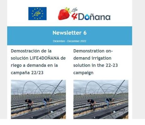 Life4Donana's tweet photo. 📣Nueva #Newsletter de #LIFE4Doñana

👉Suscríbete y no te pierdas las últimas novedades del proyecto!! 🍓🍓

📲 Puedes hacerlo en el siguiente enlace 👇

https://t.co/fL41J3IaPD

#innovacion #huelva #berries #fresas #agua #agricultores #sostenibilidad #online https://t.co/3b8lWG3bzD