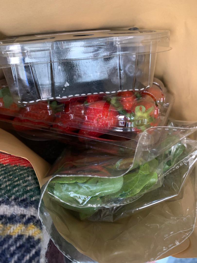 fruiteys's tweet photo. Fruitsβ
Veggiesβ
Seeds β
#fruiteys got you covered π¦ π΅
5000- 10000 packages
Send a Dm to place your order https://t.co/oK3NsrrsXw