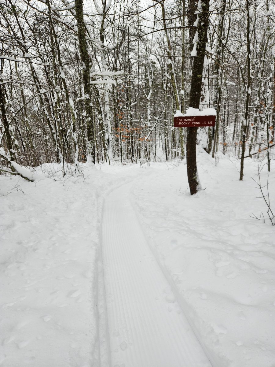 Six minutes of Singletrack Heaven Pine Hill Park, Rutland, Vermont