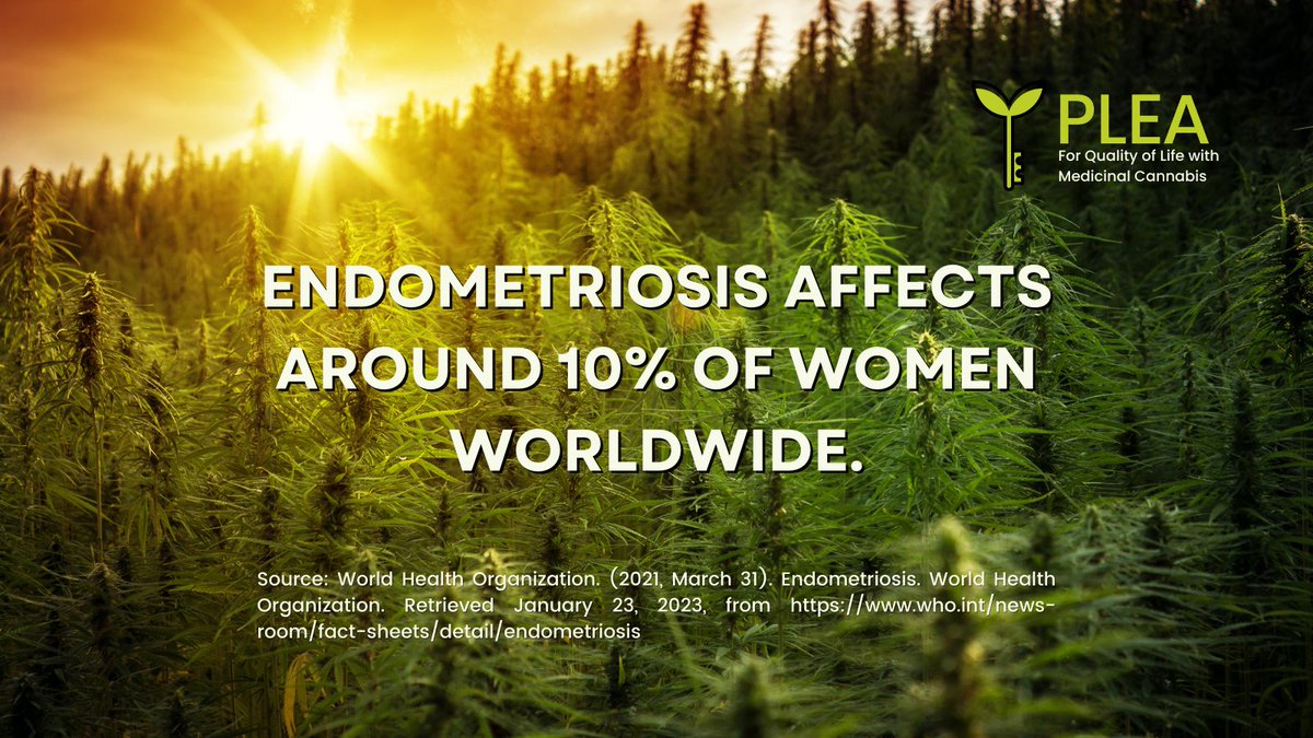 #Endometriosis is a debilitating condition. Recent research indicates the endocannabinoid system has potential in its management. Learn more in this review: ncbi.nlm.nih.gov/pmc/articles/P…. #endometriosisawareness #cannabisresearch #ECStherapy #cannabiscommunity