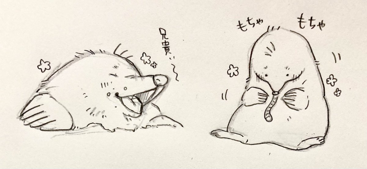モグラ舎弟くん 