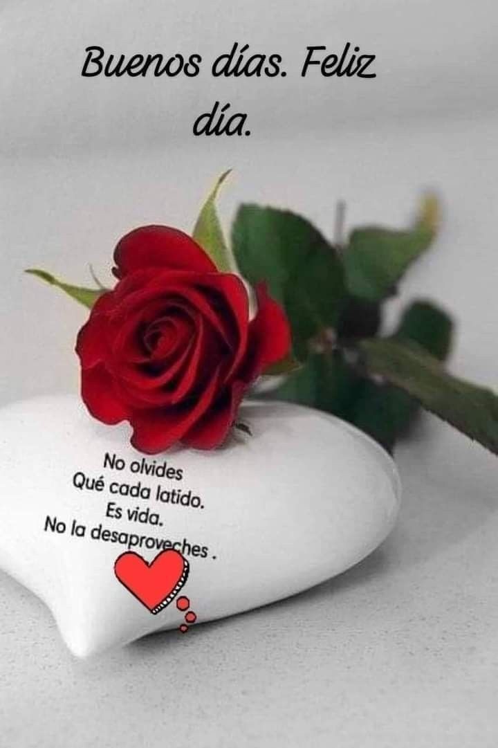 #ElBloqueoMataElSalario
<a href="/Fanciscoleon777/">Francisco Leon</a> <a href="/Yanir3P/">Yanir3 Pim3nt3l</a> 
<a href="/ShavelaHermosa/">♥️⋆ 𝓒𝓱𝓪𝓿𝓮𝓵𝓪 𝓐𝓷𝓭𝓻𝓮𝓲𝓷𝓪 ⋆ ♥️</a> <a href="/PretoduCaralho1/">José Luis Da Silva Pe...</a> <a href="/wilman825/">Wilman Sanchez</a> <a href="/JOLOSO1960/">JAVIER RODRIGUEZ SOT</a> @casiquetiuna1 <a href="/cruz_shilling/">José Gerardo Cruz shilling</a> <a href="/suheil_romero/">Suheil Romero</a> <a href="/Socialistafred/">Freddy MSB🇻🇪🇷🇺🇨🇺🇳🇮</a>