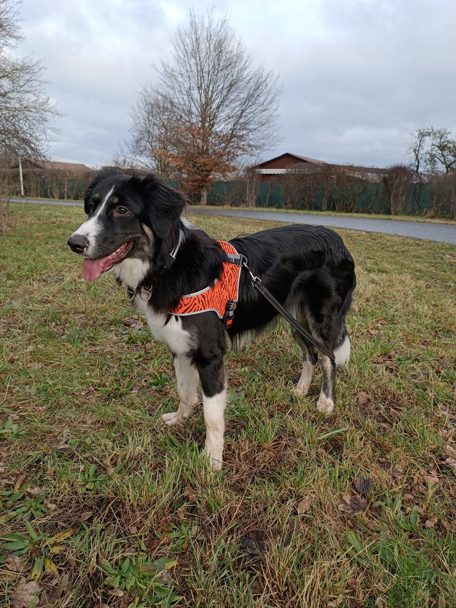 Fey 𒉭 tweet media