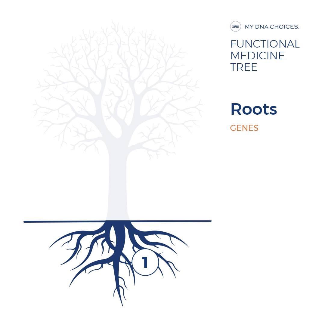 mydnachoices's tweet photo. Becoming healthier starts with the "roots of your tree" - your genotype.

Genetic variations in key protein-encoding genes can be associated with dysregulation or disequilibrium of the proteins and enzymes produced via transcription to mRNA. 

#mydnachoices 
#nutrigenomics https://t.co/oBYFP6FnDd