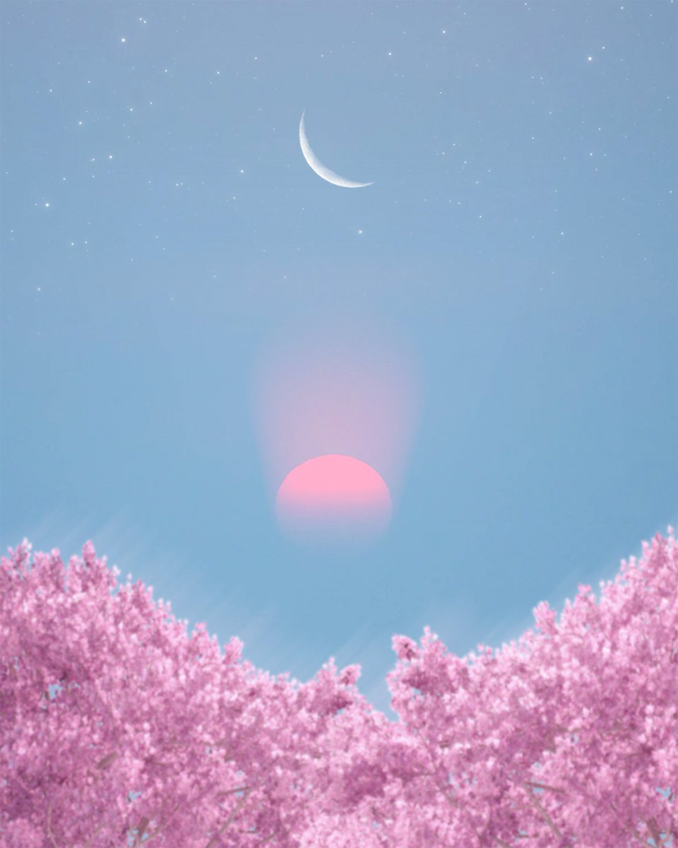 _Dartroom's tweet image. Yoshino Sunset by @ColeSaenz51 

as the sun descends on a beautiful spring day, high on Mount Yoshino, you feel an embrace of ethereal wonder; peace at last

dart.ws/n/cfwjpdc

#NFTart #Algorand #Artist #NFTs #NFT #Art 
#Algo $Algo #NFTartist #AlgorandNFTs #algofam