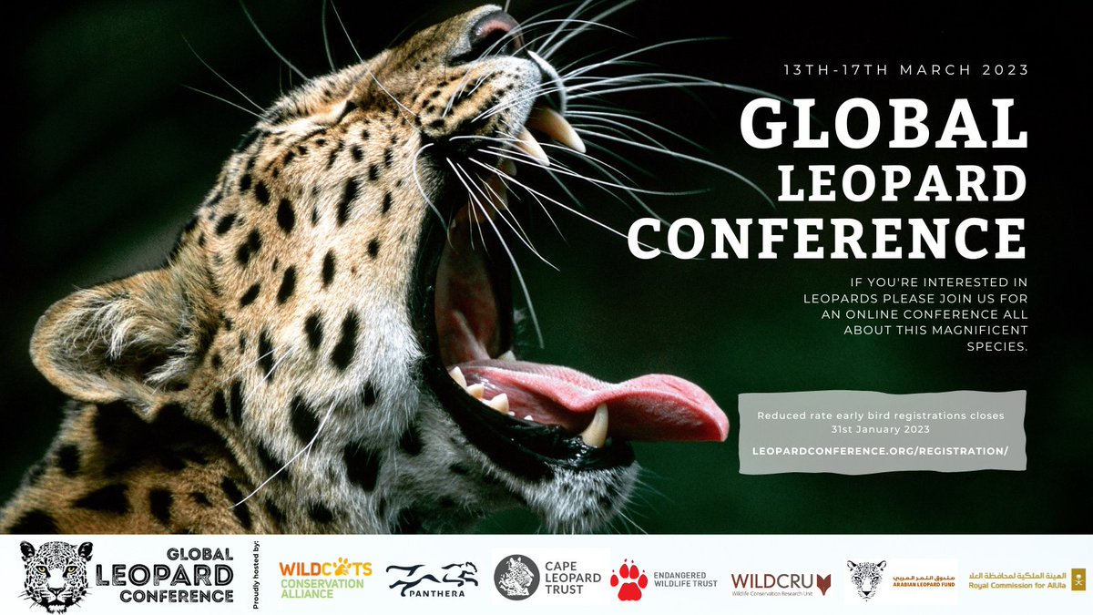 ConserveWildCat's tweet photo. Register now while early bird tickets are available > https://t.co/32LGtMYVnT
.
#LeopardConservation #Leopards #WildlifeConservation #LeopardScience #GlobalLeopardConference @LeopardConf https://t.co/qIhwkxhckd