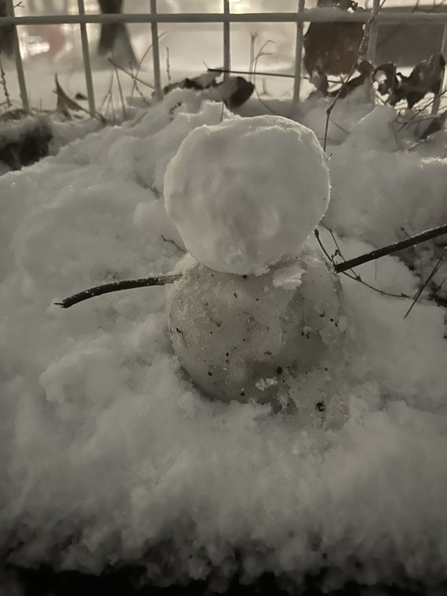 大トトロ大 tweet media