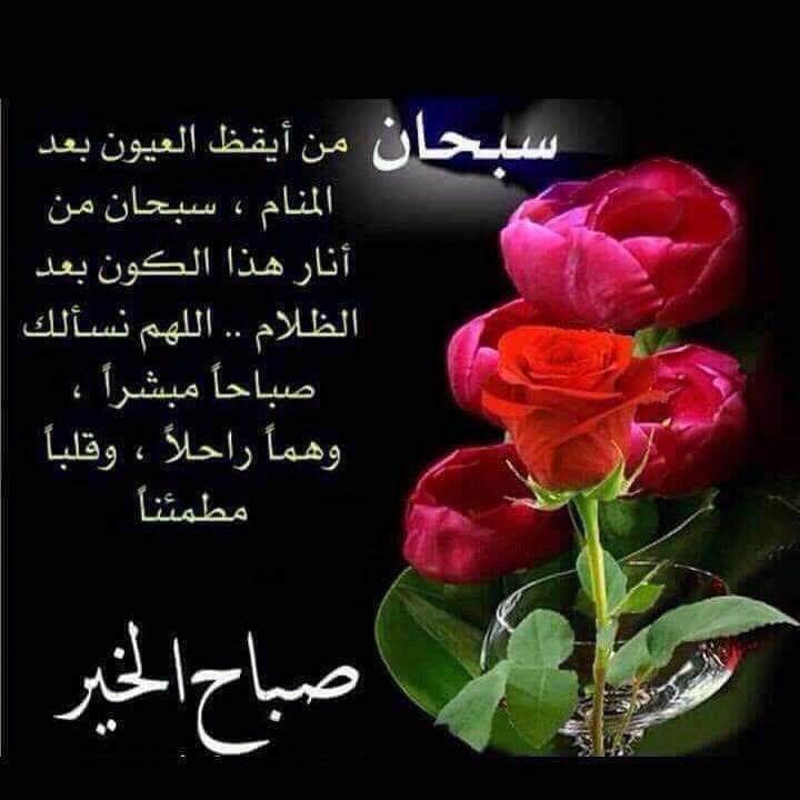 أكلات ستي الاقتصادية tweet media